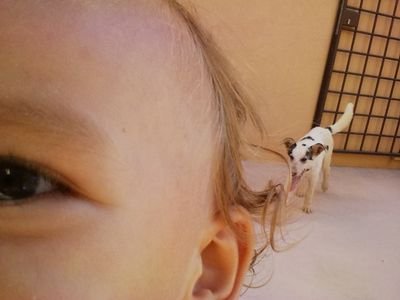 MicheleBru's profile picture. 