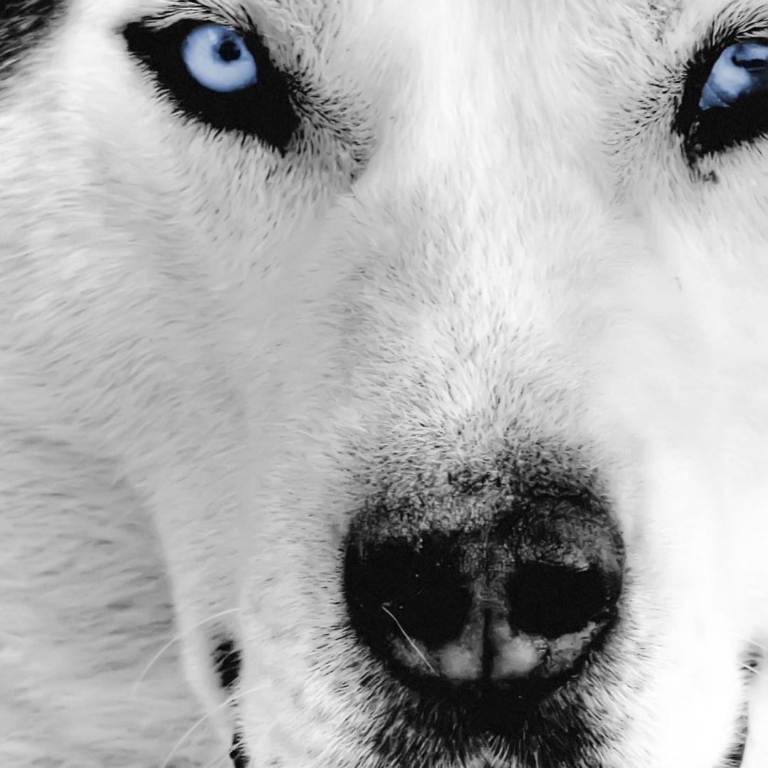 4M_4NIAEIITH's profile picture. 