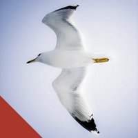 Branko Hrkač (@hrhrzagreb) 's Twitter Profile