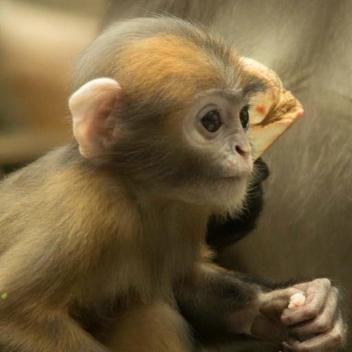 robcampman's profile picture. 