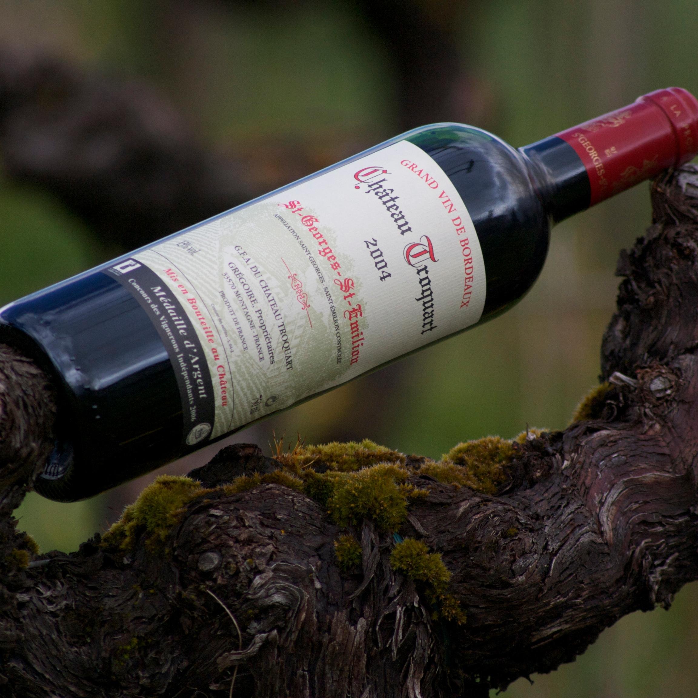 Petite propriété de 5,5 hectares sur l'appellation Saint-Georges Saint-Emilion.