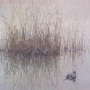 Al Hallman - @al_hallman - Twitter