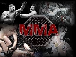 The world of MMA (Mixed Martial Arts) caught in action