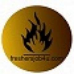 freshers jobs