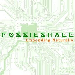 FossilShale's profile picture. Leading Product Design Services Company focused in end-to-end product development.