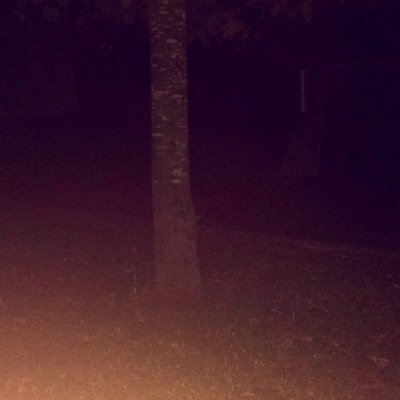 Paul_Dht Profile Picture