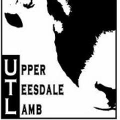 Upper Teesdale Lamb