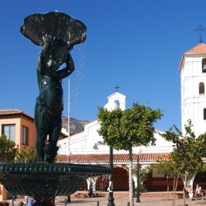 SoyArroyero's profile picture. 