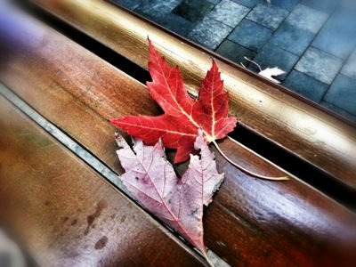 w_kuan1026's profile picture. 