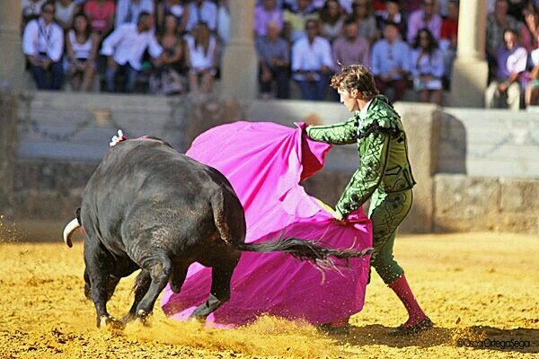 soy banderillero, hermano y sobrino de dos maestros del toreo a caballo