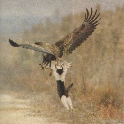 shunsuke476's profile picture. TOKYOBLISS