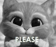 AndieAnnaQu's profile picture. Bathing in a river filled with piranhas and kittens. I can count the seconds before I die.