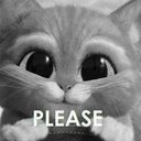 The_BlackKnight - @AndieAnnaQu - Twitter