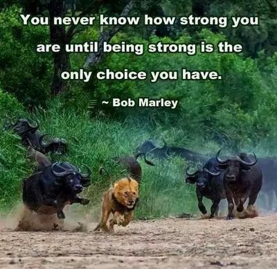 Hana_YYZ's profile picture. 