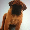 Ira Collier - @CollierIra - Twitter