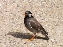 tatsu199610262's profile picture. يأْتِ بِها الله إنّ الله لَطِيفٌ خَبيرٌ 🌺