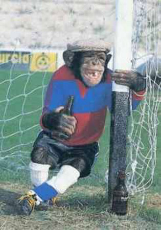 Goalkeeper-Monkey--C10038369.jpg