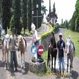 Hotel PCP Trawas sudah berdiri sejak 1978. kami menyediakan ruangan meeting dan tempat outbound yang bagus untuk keluarga maupun perusahaan anda