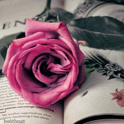 EshtiaqHassan's profile picture. (رب لا تذرني فردا وأنت خير الوارثين)