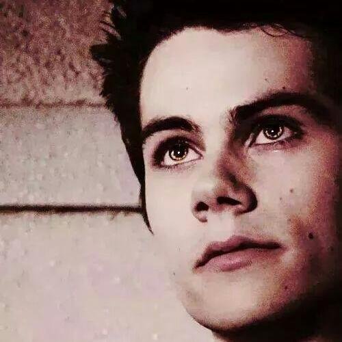 stilesinsopasi1's profile picture. 