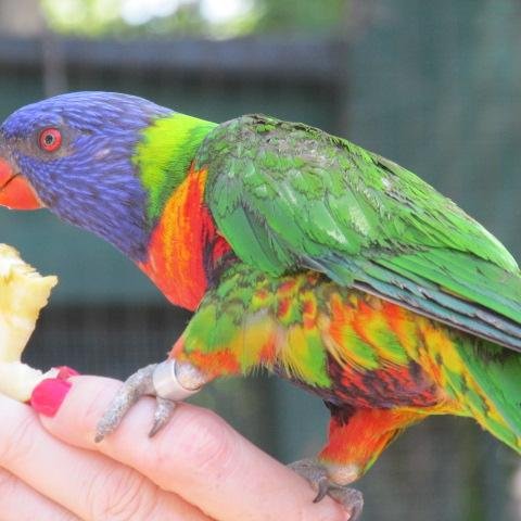 PmunnekeSAPDC's profile picture. 