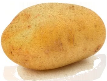 Pit section leader on Friday nights. Couch potato all of the other days. Everyone loves a good potato