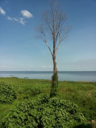 mekoru80's profile picture. 