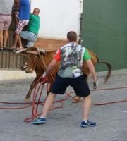 criscobo23's profile picture. 