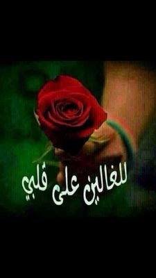 abdulAbdulgani1's profile picture. لا اله الا الله    وأن محمد رسول الله