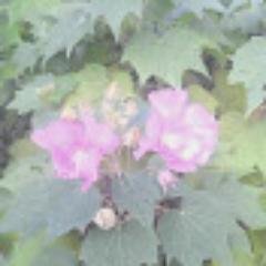 draGAME_CHANNEL's profile picture. ドラGAME_CHANNELのtwitterのページです。更新頻度はかなり低いですがよろしくお願いします。 動画投稿予定などを呟いていく予定です。 【諸事情によりつぶやけない場合もありますご了承ください】