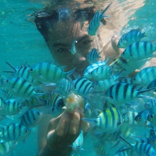 Curious and versatile UI Designer, jolly geek, tech enthusiast and entrepreneur at heart.