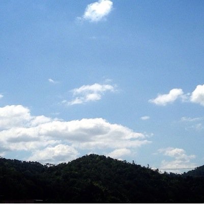 nastylena's profile picture. 