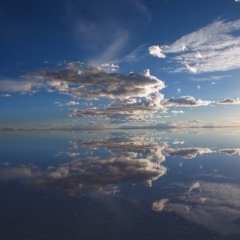見る専用アカウントです！ 無言フォローすみません。