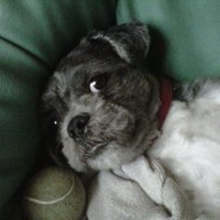 nelly (@lilythefirst) 's Twitter Profile Photo nelly (@lilythefirst) 's Twitter Profile Photo