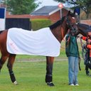 Paul Treacy - @soyoutink33 - Twitter