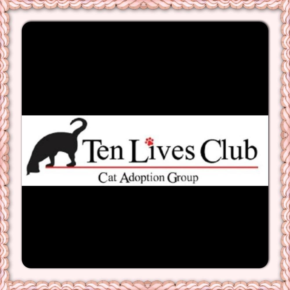 Ten Lives Club #catrescue & #adoption #group is a registered #nonprofit organization located in #WesternNewYork. We find #ForeverHomes for our #CATS!