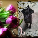 derly alvarez - @derlyalvarez2 - Twitter