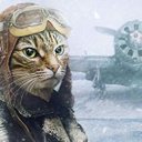 Летун Котический (@Alecfyz) Twitter