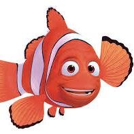 Nemo's Father. Fish Clown.