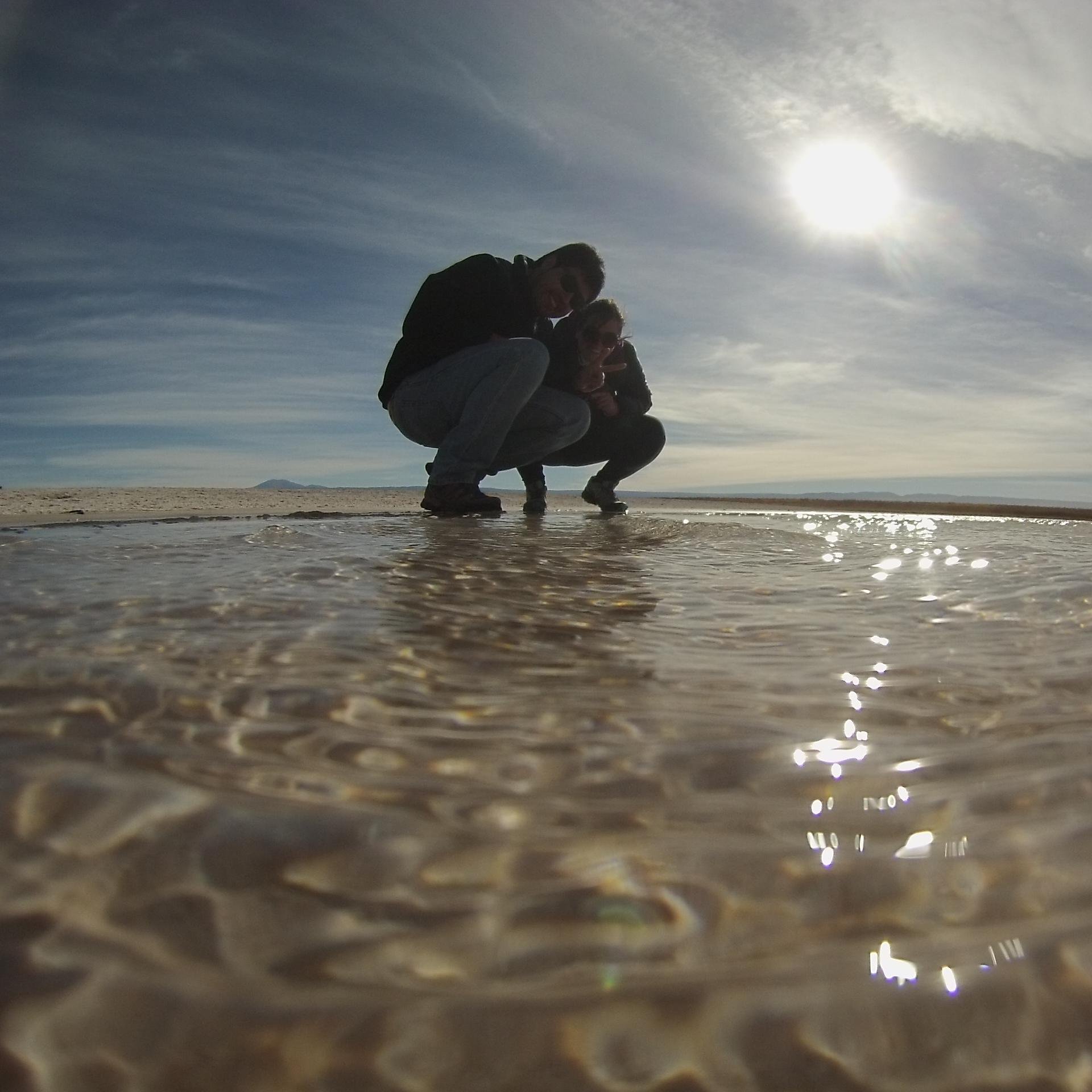 octaviovacor's profile picture. Ingeniero Agrónomo