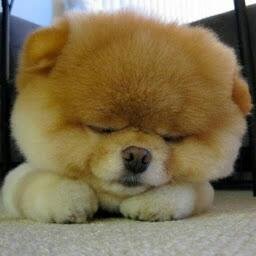 こん