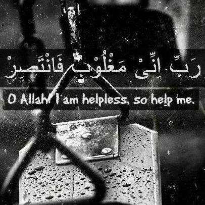 cutebacha143's profile picture. 