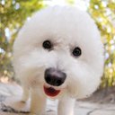 Laura Nan - @nnlaura - Twitter