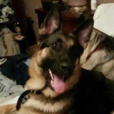 jacqueline2463's profile picture. 