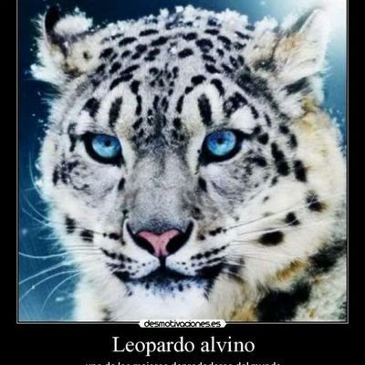 mery_sc11's profile picture. 