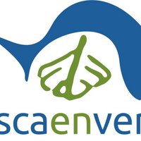 Pescaenverde (@pescaenverde) 's Twitter Profile Photo