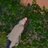 Marina31197's profile image