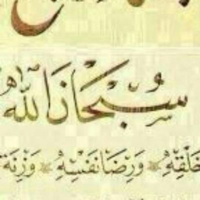 ابو فايز الشمري .