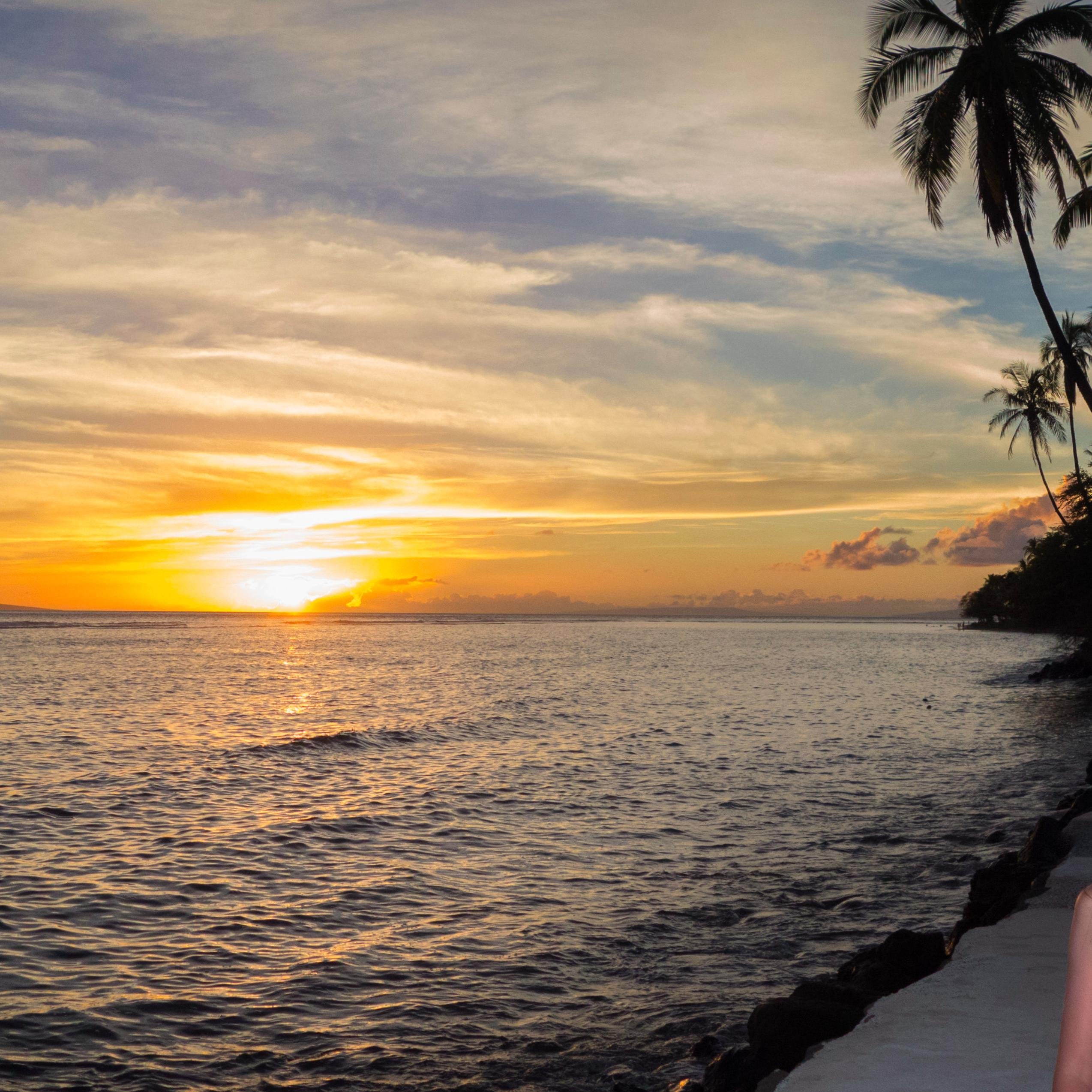 saunastweets's profile picture. 