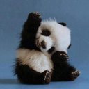 Andre Kaiser - @andrekaiser95 - Twitter